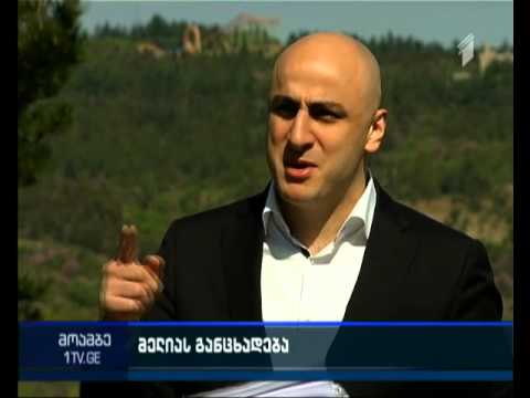 ენმ ბიძინა ივანიშვილს ბოტანიკური ბაღისა და 29 ჰექტარი მიწის ნაკვეთის მითვისებაში ადანაშაულებს