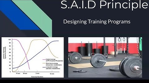 S.A.I.D. Principle in Strength Training