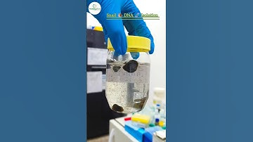 Snail 🐌 DNA 🧬#dna #research #science #lab #shorts #ytshorts #experiment #viralvideo #2024 #trending