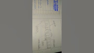 9 class physics practical experiment 1.1 observation and result