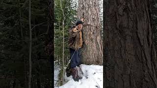 вот дак загадка 🤔🤔 может вы разгадаете🌲🌲🌲