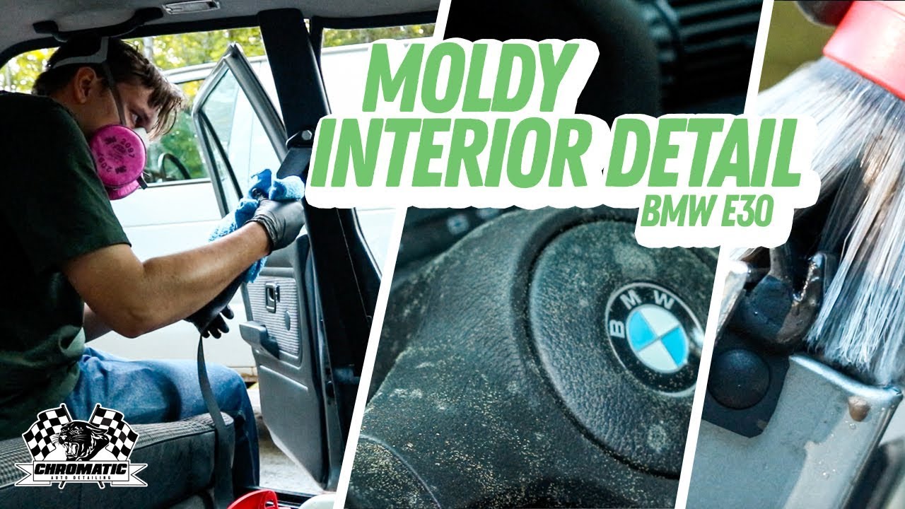 Cleaning The Moldiest Car Interior Ever Bmw E30 Interior Detailing Restoration