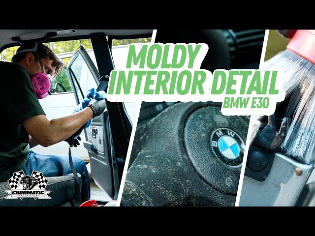 Cleaning The Moldiest Car Interior Ever Bmw E30 Interior