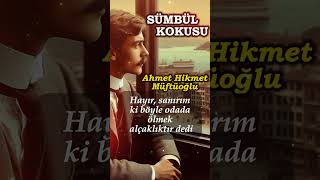 Sümbül Kokusu Ahmet Hikmet Müftüoğlu Seslendiren: Barış Okkay Resimi