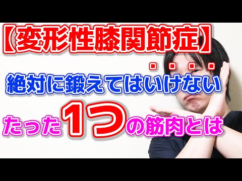 【膝の痛み、変形性膝関節症】この筋肉を鍛えている限り痛みは永久に治りません！