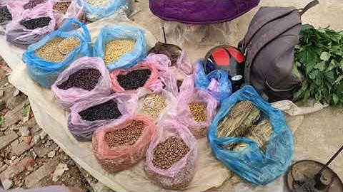 Khám phá Chợ phiên Tủa Chùa Điện Biên, người H Mông bán toàn đặc sản