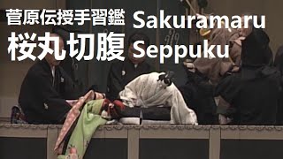 Sakuramaru Seppuku 菅原伝授手習鑑 桜丸切腹（平成元年）