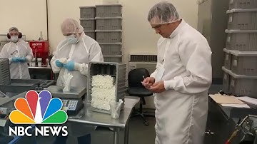 Swab Manufacturers Struggle To Keep Up With Coronavirus Test Kit Demands | NBC News NOW