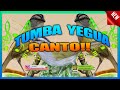 ESTIMULANTE CANTO DE TUMBA YEGUA