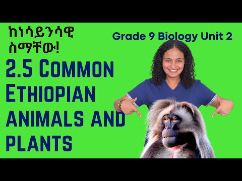 Grade 9 Biology Unit 2 2 5 Common Ethiopian Animals And Plants