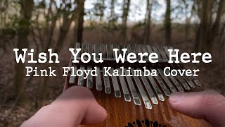 Wish You Were Here - Pink Floyd (Kalimba Cover)