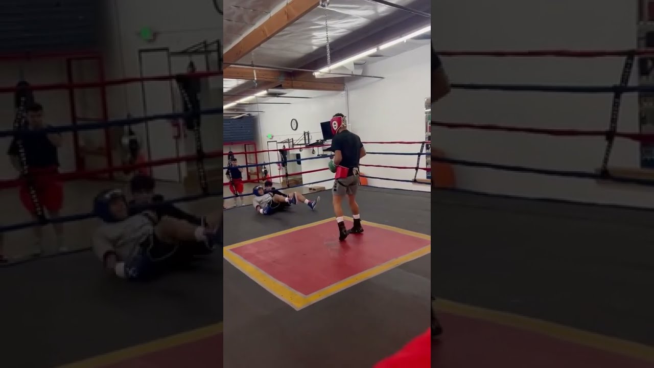 Great Left Shorts