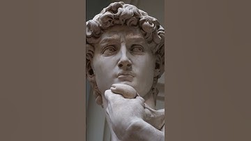 Michelangelo’s David: Anatomy Uncovered