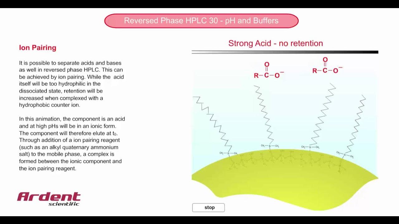 Reversed Phase HPLC 30 Ion Pairing YouTube