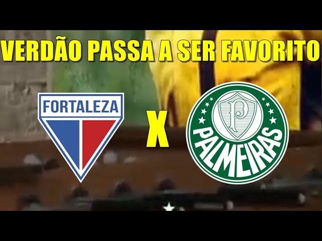 Palmeiras se consolida como um dos favoritos para conquistar o Brasileirão  - Portal MPA