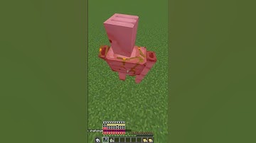 EXPECATOIN VS REALITY #expectations #reality #minecraft #tecnogamerz