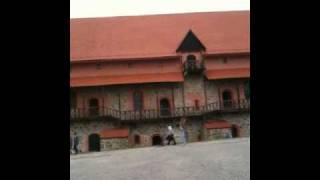 Trakai Wasserschloss Litauen