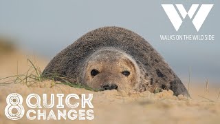 Transform your wildlife photography with 8 quick changes