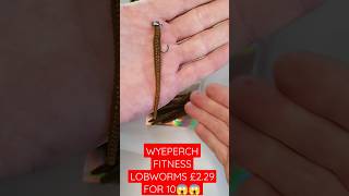 GO FINESSE FOR BIG PERCH #fishing #fish #perch #fishingtips #lurefishing #tutorial #howto