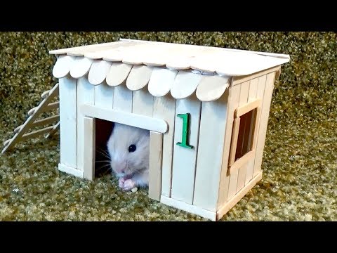 How to Make Little Hamster House – Very Easy & Quick DIY