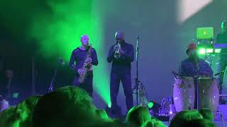 UB40 - Seems To Me I’m Losing (Live In Sheffield 06/03/22)