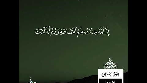 تدبر كلام ربك / تلاوة جديدة وحصرية / القارىء ياسر الفيلكاوي