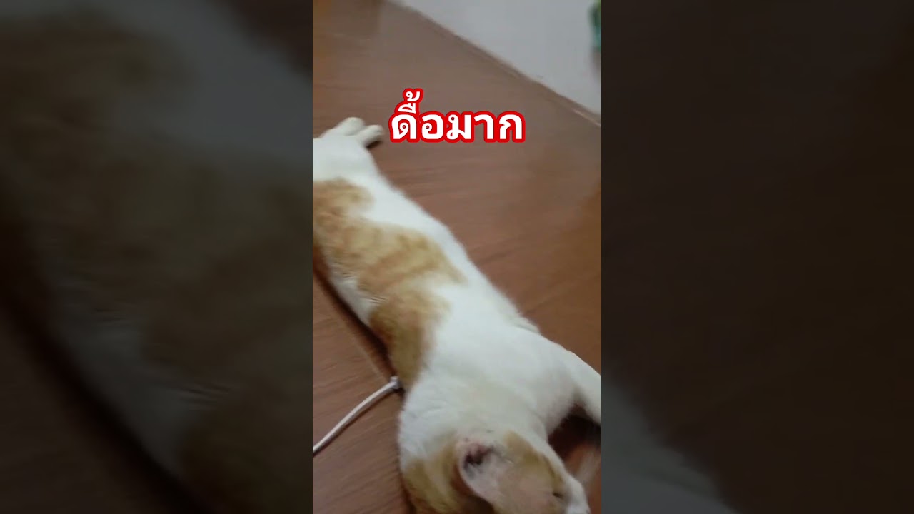 #คลายเครียด #มารวย