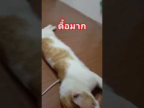 #คลายเครียด #มารวย