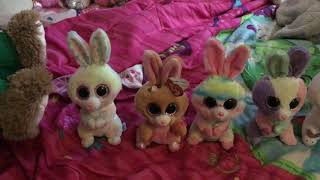 All my beanie boo bunnies (bb bunny collection) screenshot 2