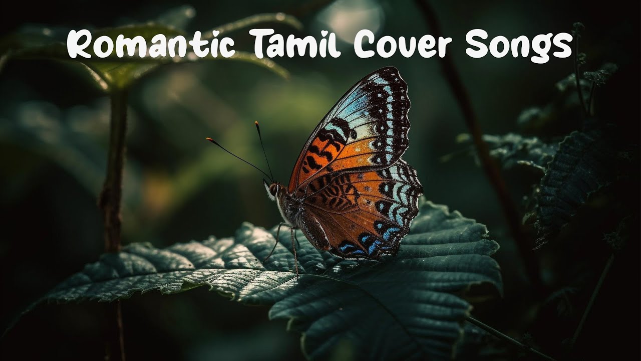 Tamil Cover Songs  Melody Cover Songs Collection  Best Tamil Cover Compilation  Popcorn Bites