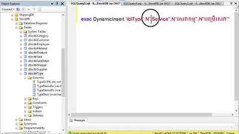 ExecuteDynamicInsert My SQL Server 2008 Khmer Videos IT 5