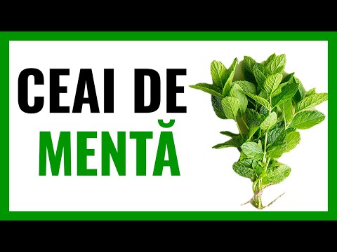 Video: Ceaiul De Mentă - Cum Este Util? Pe Cine Poți Bea? 17 Rețete