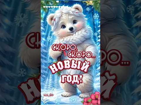 #скороновыйгод #новыйгод #сновым2024годом #сновымгодом #сновымсчастьем