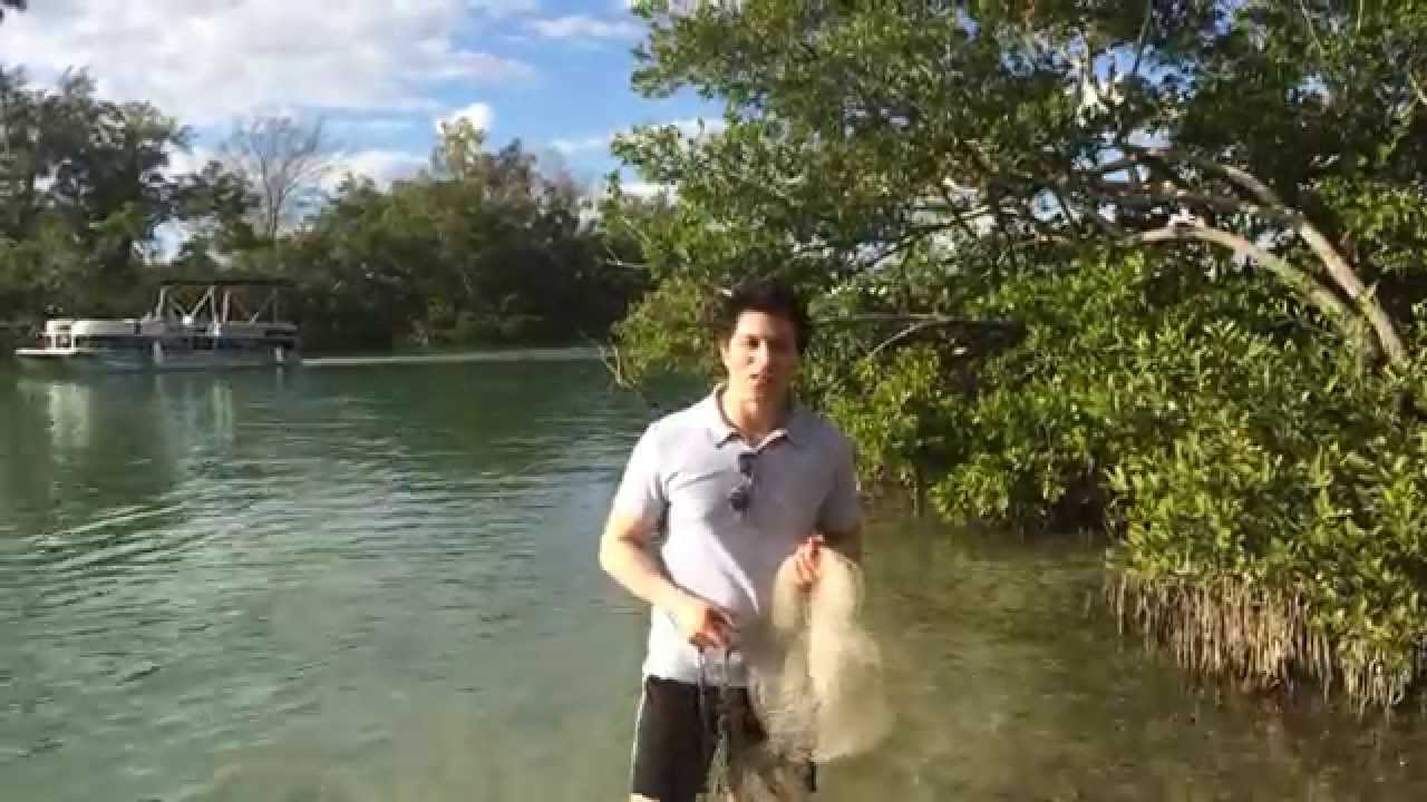 Venice, Florida- Fishing - YouTube