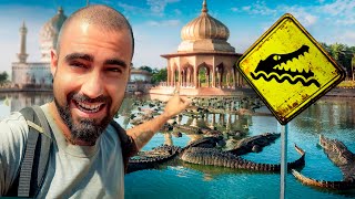 Fui al Misterioso TEMPLO de los COCODRILOS en Pakistán 🐊🇵🇰