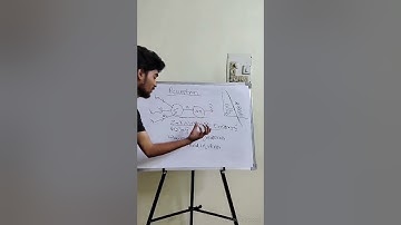 Perceptron explained in 60seconds #DeepLearning #Perceptron #MachineLearning #NeuralNetworks