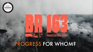 BR-163: Progress for whom? Award winning documentary on Brazil's wildlife crisis