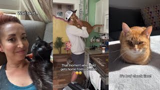 What cats do when people aren’t looking