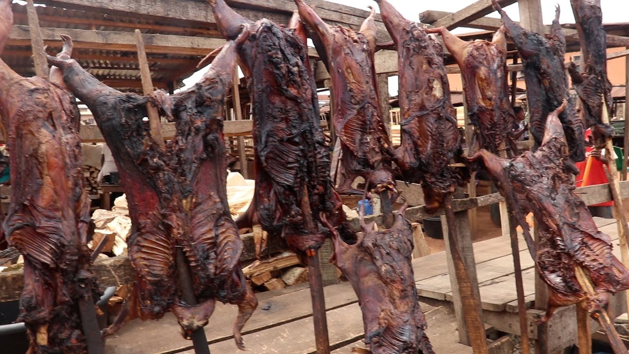 Последние цены на различное мясо диких животных, антилоп, траворез, бородавочник, кустарниковая с...