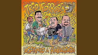 Video thumbnail of "Trio Forrozão - Agitando a Rapaziada"