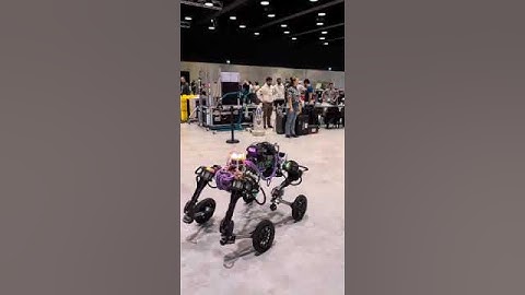 1 st euROBIN Coopetition 2024-  Robot