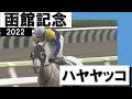 白毛馬ハヤヤッコが芝・ダート両重賞制覇【函館記念2022】