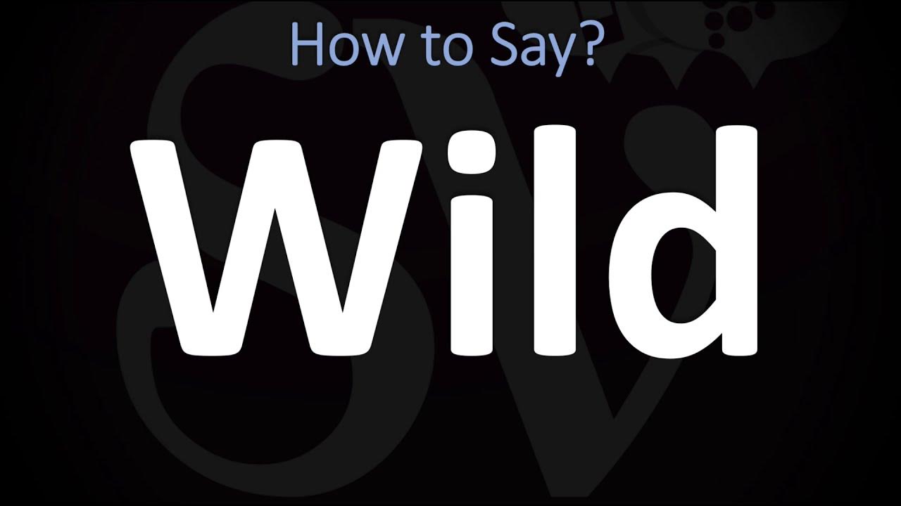 WILD meaning, definition & pronunciation, What is WILD?