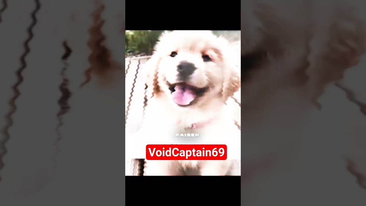 Duck aura. It can do every thing 