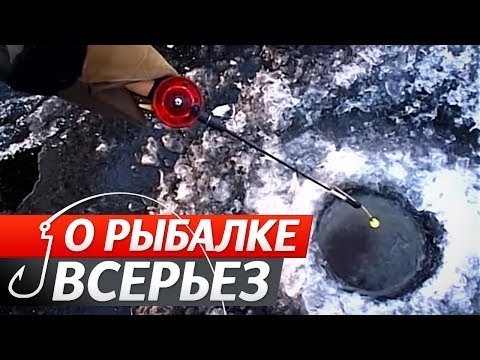 Зимняя Ловля Судака на балансир.
