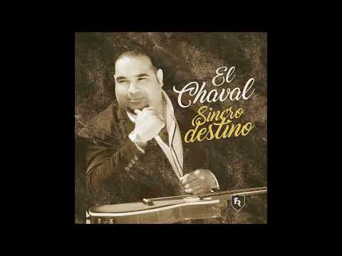 Putar Tu Veneno - El Chaval De La Bachata