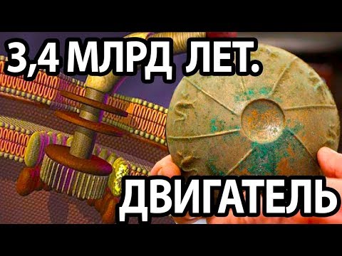 Древний двигатель 3,4 млрд лет работает до сих пор.