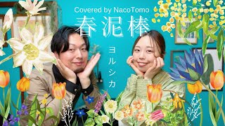 春泥棒/ ヨルシカ【 NacoTomo　一発録り道場 】