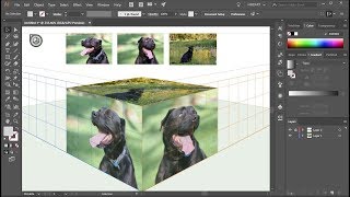 How to Apply Photos to the Perspective Grid Planes in Adobe Illustrator screenshot 2
