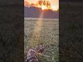 Sunrise #filming #shortfilms #sunset #gawx #cinematicvideo